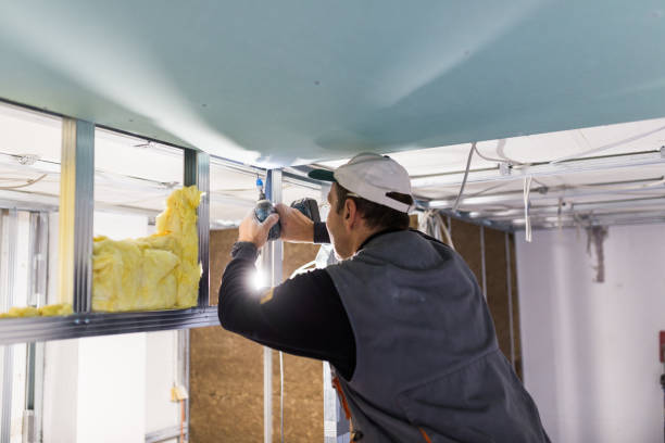 Best Attic Insulation Installation  in Caoncito, NM