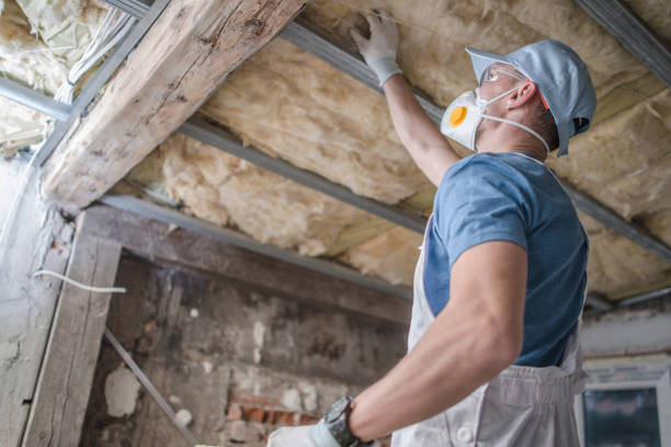 Best Crawl Space Insulation  in Caoncito, NM