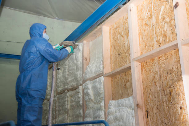 Best Insulation for New Construction  in Caoncito, NM