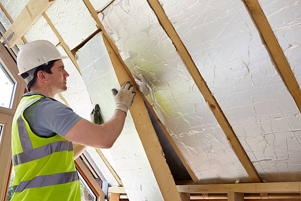 Best Insulation Inspection Services  in Caoncito, NM