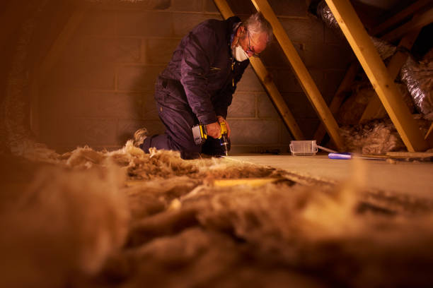 Best Commercial Insulation Contractor  in Caoncito, NM