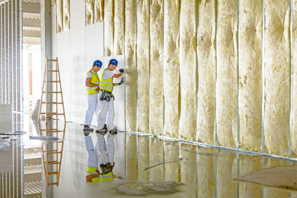 Best Energy-efficient Insulation  in Caoncito, NM